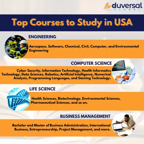 top courses to study in usa